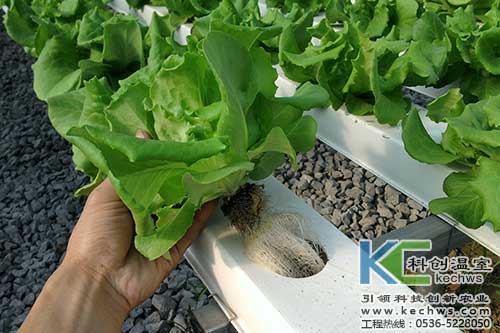 無(wú)土栽培，無(wú)土栽培技術(shù)，無(wú)土栽培設(shè)備