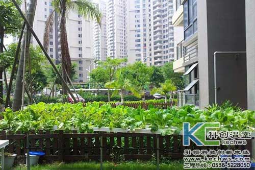 無(wú)土栽培，無(wú)土栽培技術(shù)，無(wú)土栽培設(shè)備