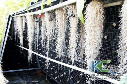 氣霧培,氣霧培優勢