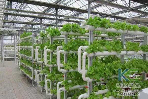 無土栽培，無土栽培技術，無土栽培設備