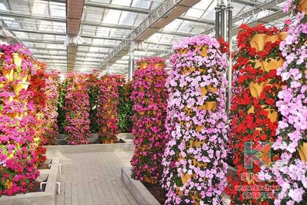 無土栽培，無土栽培技術(shù)，無土栽培設(shè)備