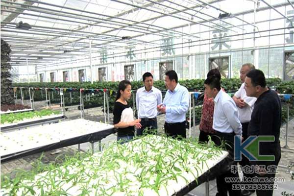 無土栽培，無土栽培技術，無土栽培設備