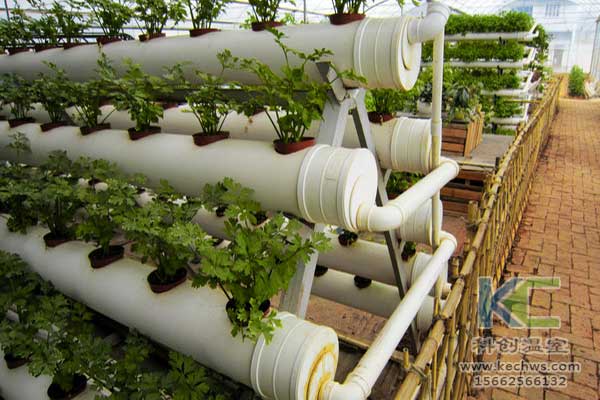 無土栽培，無土栽培技術，無土栽培設備