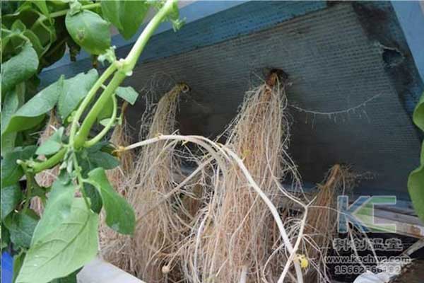 無土栽培，無土栽培技術，無土栽培設備