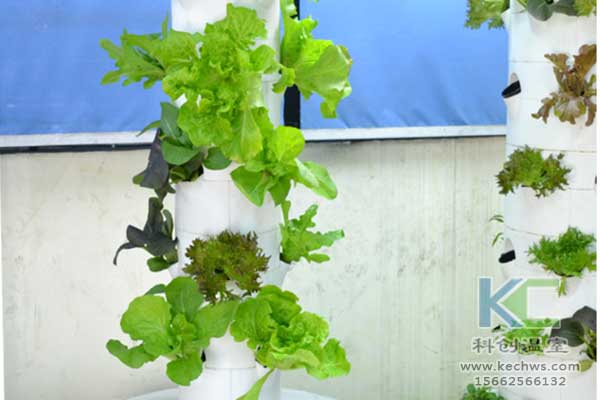 無土栽培，無土栽培技術，無土栽培設備