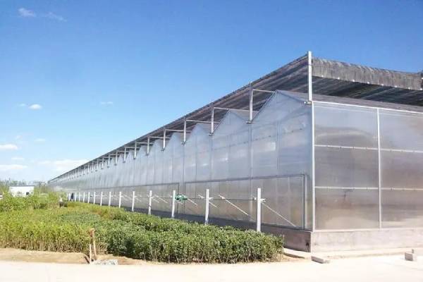 無土栽培，無土栽培技術，無土栽培設備