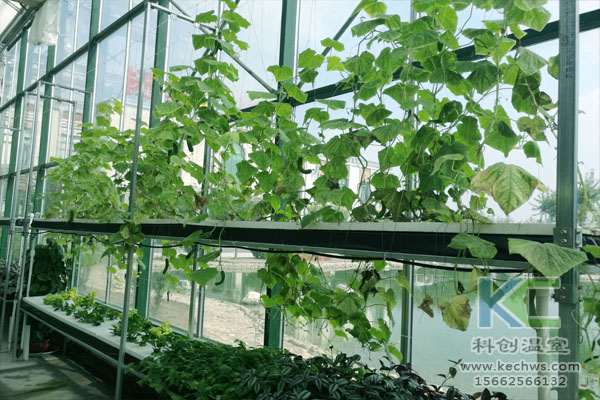 無土栽培，無土栽培技術(shù)，無土栽培設(shè)備