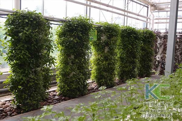 無土栽培，無土栽培技術，無土栽培設備