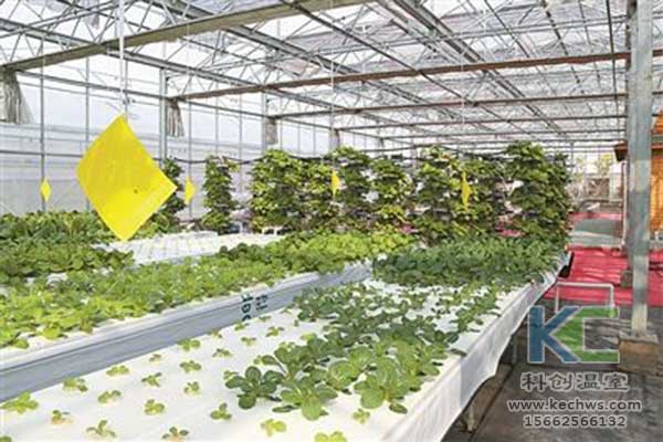 無土栽培，無土栽培技術，無土栽培設備