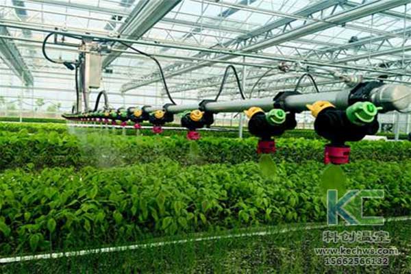 無土栽培，無土栽培技術(shù)，無土栽培設(shè)備