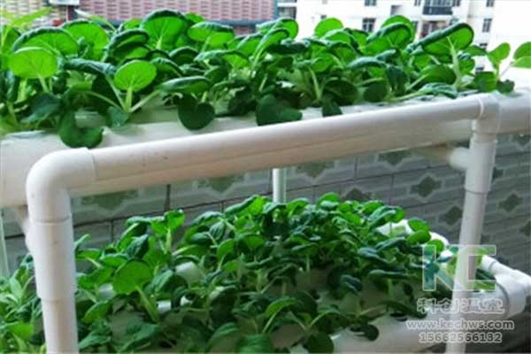 無土栽培，無土栽培技術，無土栽培設備