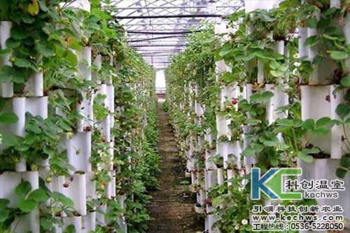 無土栽培，無土栽培技術，無土栽培設備