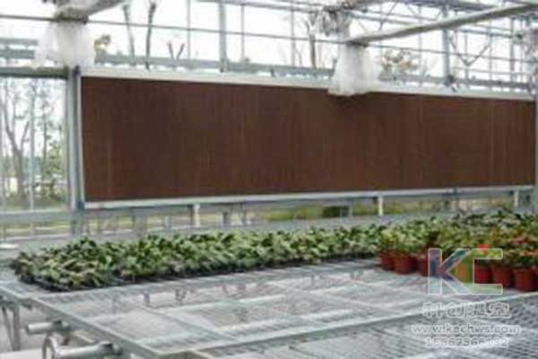 無土栽培，無土栽培技術(shù)