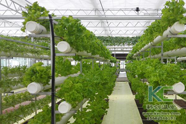 無土栽培，無土栽培技術，無土栽培設備