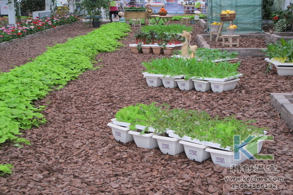 無土栽培，無土栽培技術，無土栽培設備