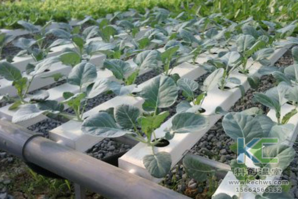 無土栽培，無土栽培技術，無土栽培設備