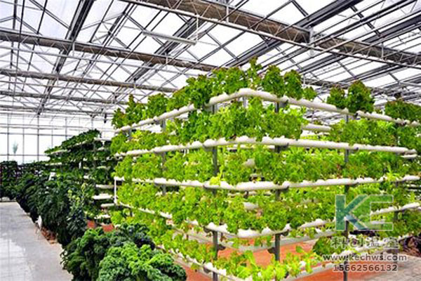 無土栽培技術，無土栽培設備，無土栽培，溫室大棚