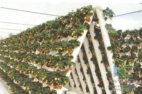 無(wú)土栽培，無(wú)土栽培技術(shù)，無(wú)土栽培設(shè)備