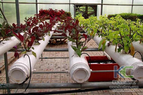 無土栽培，無土栽培技術(shù)，無土栽培設(shè)備