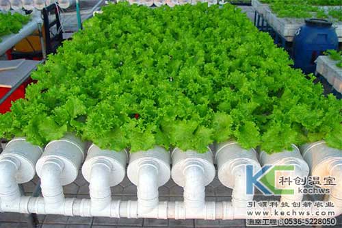 無土栽培，無土栽培技術，無土栽培設備