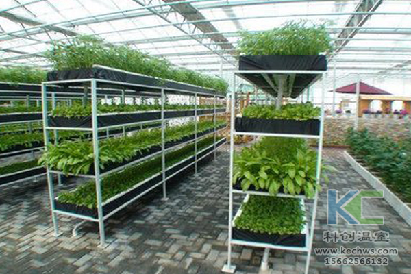 魚菜共生系統(tǒng)，無土栽培技術(shù)，無土栽培，溫室大棚