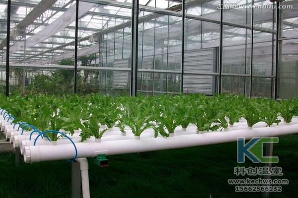 無土栽培，無土栽培技術，無土栽培設備