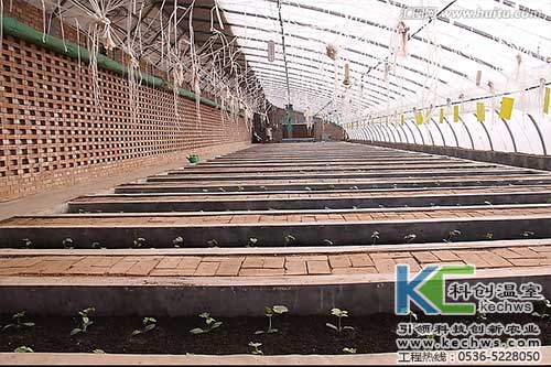 無土栽培，無土栽培技術，無土栽培設備