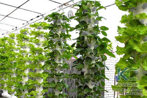 無(wú)土栽培，無(wú)土栽培技術(shù)，無(wú)土栽培設(shè)備