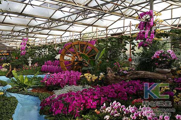 無土栽培，無土栽培技術(shù)，無土栽培設(shè)備