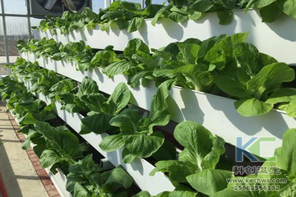 無土栽培，無土栽培技術(shù)，無土栽培設(shè)備