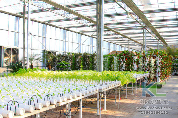 無土栽培，無土栽培技術，無土栽培設備