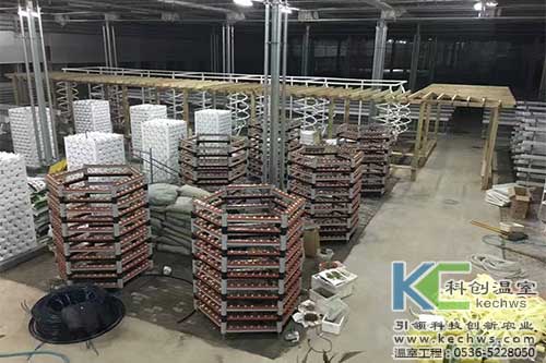 臨沂,無土栽培,無土栽培技術