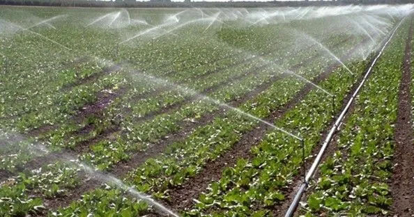 無土栽培，無土栽培技術，無土栽培設備