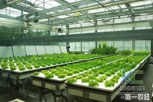 無土栽培，設(shè)備，無土栽培設(shè)備，設(shè)施