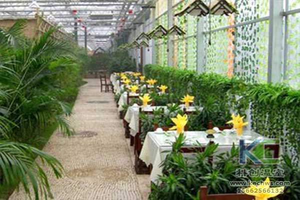 無土栽培，無土栽培技術(shù)，無土栽培設(shè)備