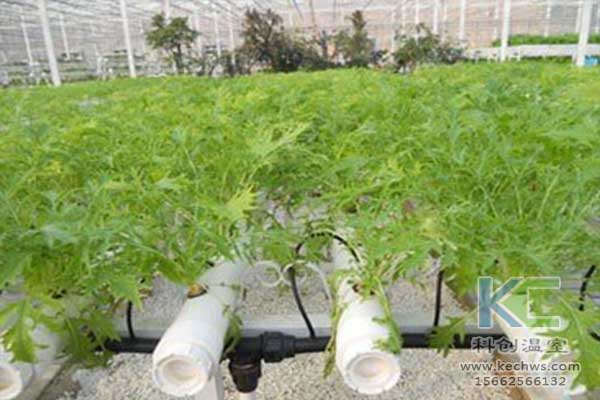 無土栽培，無土栽培技術(shù)，無土栽培設備