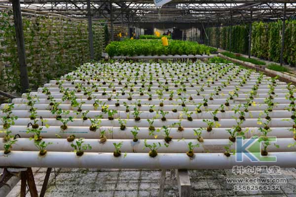 無土栽培，無土栽培技術，無土栽培設備