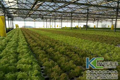 山西,植物工廠,無(wú)土栽培