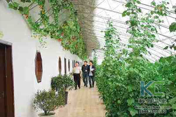 無土栽培，無土栽培技術(shù)，無土栽培設(shè)備