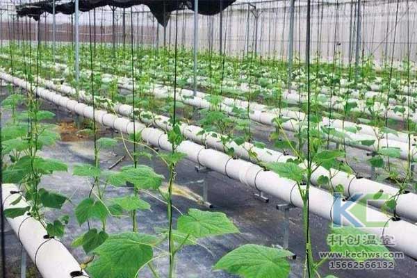 無土栽培，無土栽培技術(shù)，無土栽培設(shè)備
