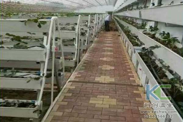 無土栽培，無土栽培技術(shù)，無土栽培設(shè)備