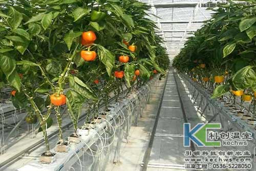 無(wú)土栽培，無(wú)土栽培技術(shù)，無(wú)土栽培設(shè)備