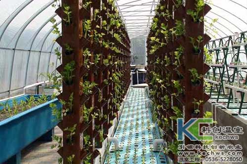 無土栽培，無土栽培技術(shù)，無土栽培設(shè)備