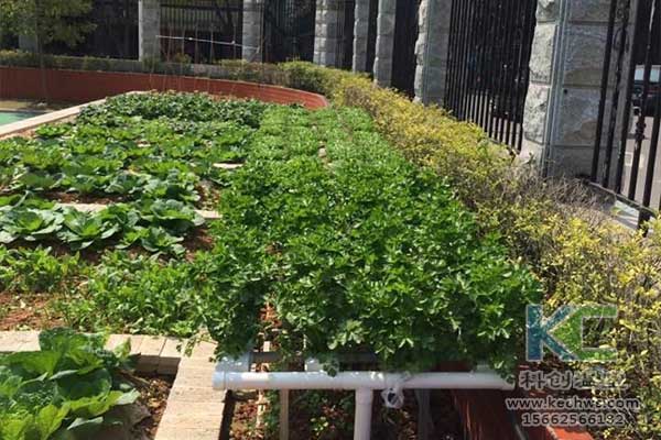 無土栽培，無土栽培技術(shù)，無土栽培設備