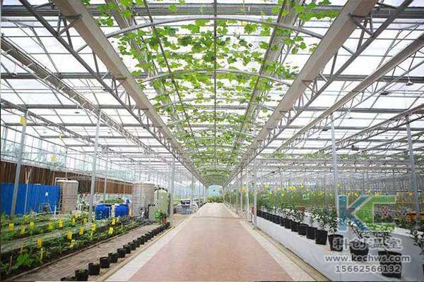 無土栽培，無土栽培技術(shù)，無土栽培設(shè)備