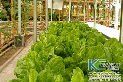 無(wú)土栽培，無(wú)土栽培技術(shù)，無(wú)土栽培設(shè)備