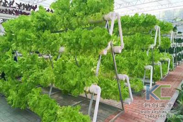 休閑農業，無土栽培技術，無土栽培，溫室大棚
