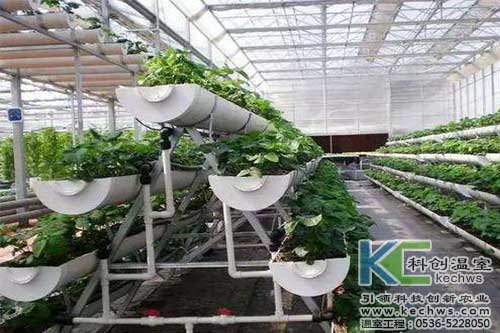 無土栽培，無土栽培技術(shù)，無土栽培設(shè)備
