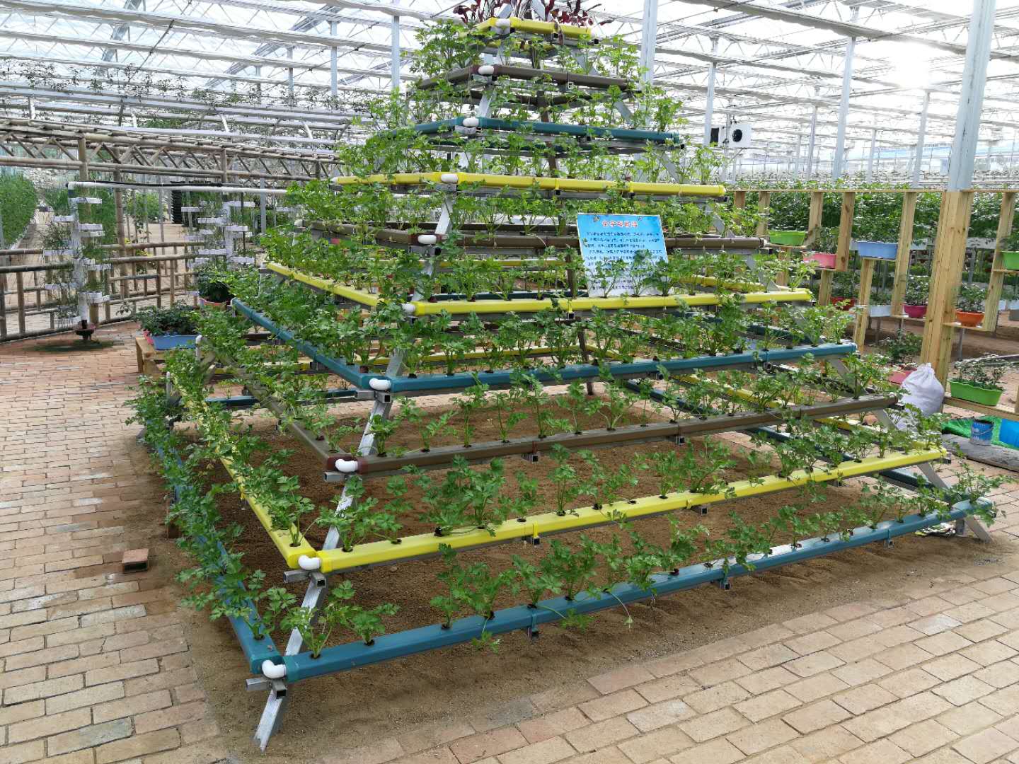 無土栽培，無土栽培技術(shù)，無土栽培設(shè)備