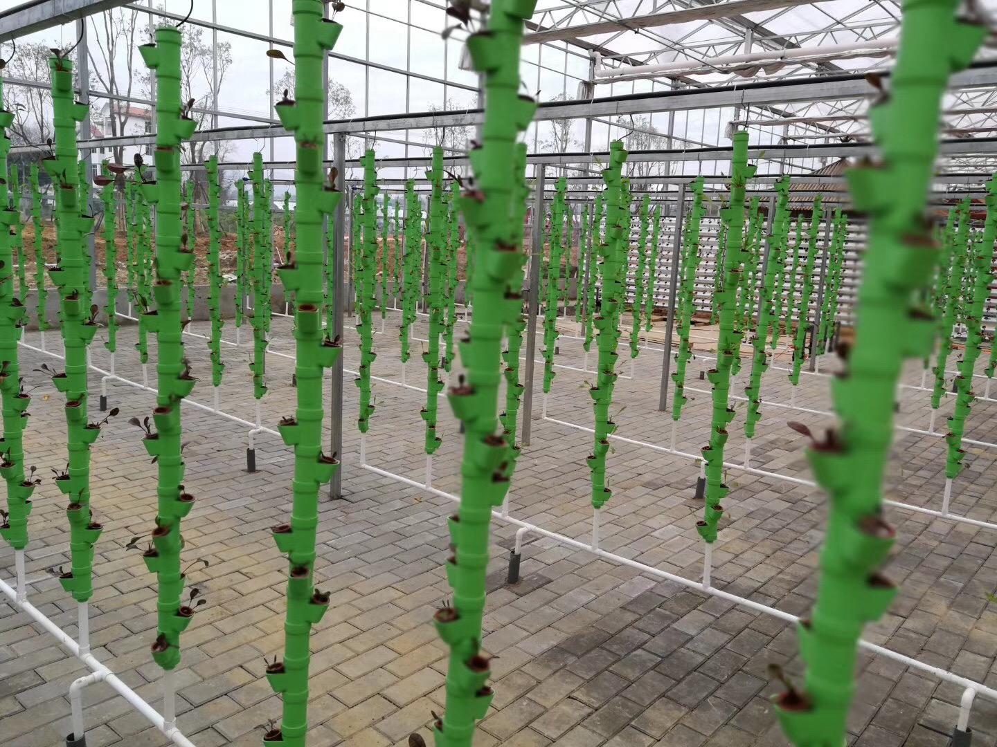 無土栽培，無土栽培技術(shù)，無土栽培設(shè)備